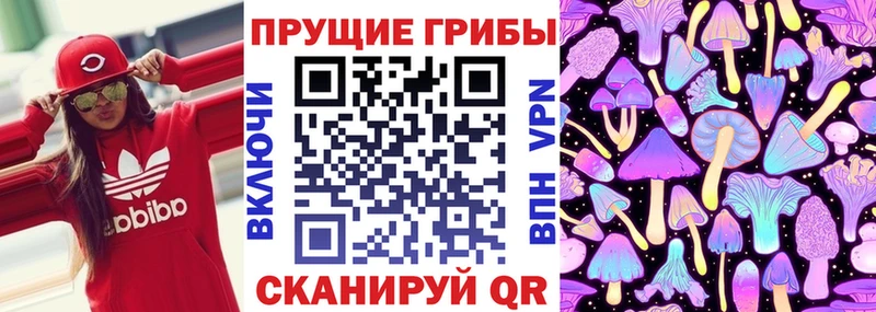 Псилоцибиновые грибы Psilocybine cubensis  Николаевск-на-Амуре 